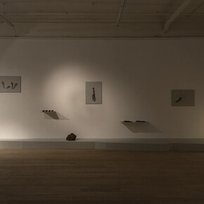 Amol K Patil, The shadow of lustre, exhibition view. Courtesy of Galerie Peter Kilchmann