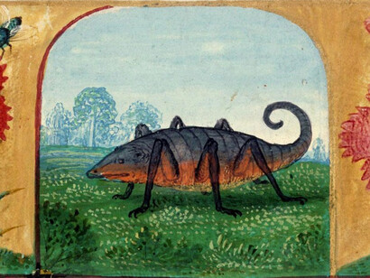 Lo Scorpione nell'arte