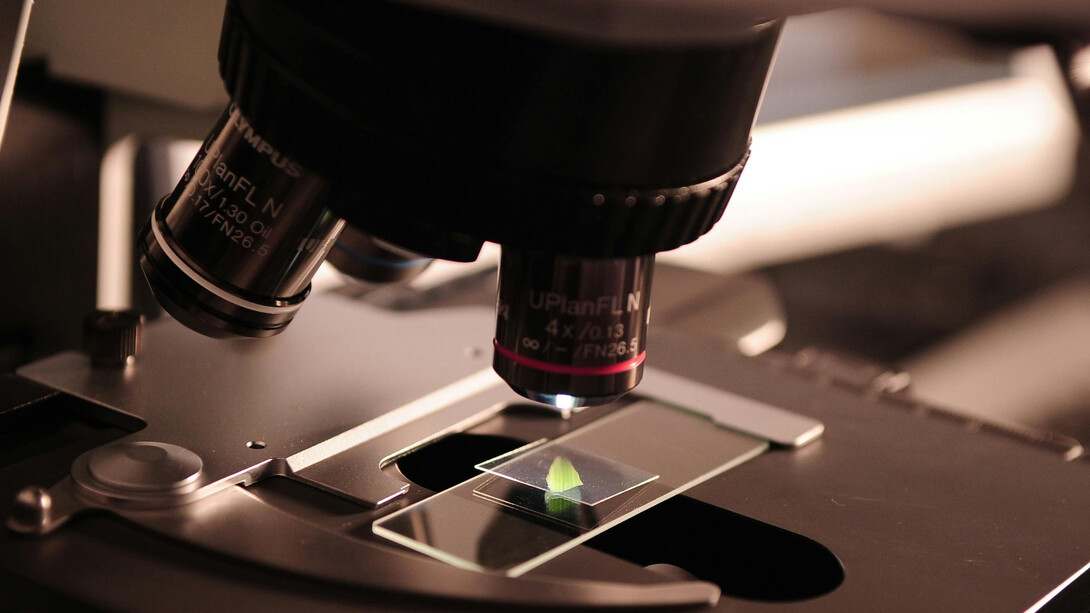 Biotechnologische Experimente werden im Labor durchgeführt
