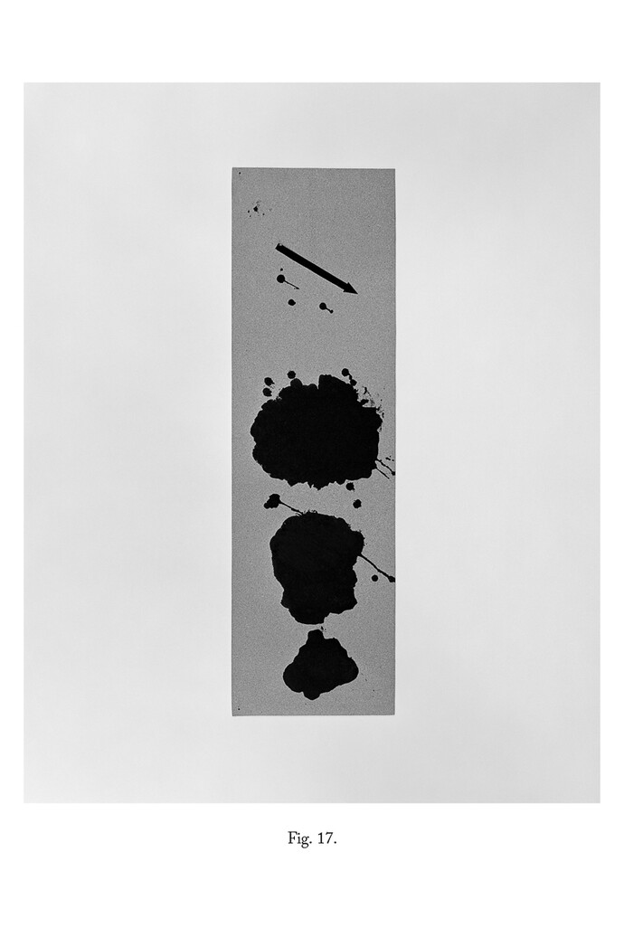 Victoria Jenkins, Fig. 17