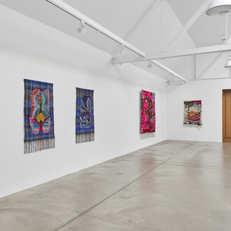 Terri Friedman, Overmuch, exhibition view. Courtesy of Anthony Meier
