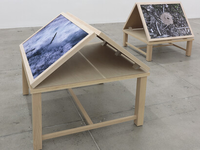 Richard Deacon. Courtesy of Marian Goodman Gallery