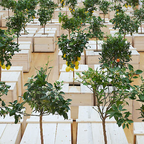 Yoko Ono. Courtesy of Museum der bildenden Künste Leipzig
