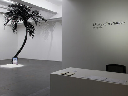 Diary of a Pioneer. Courtesy of de Sarthe Gallery