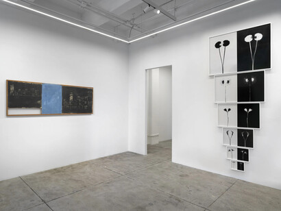 Kunié Sugiura, Something else, exhibition view. Courtesy of Alison Bradley Projects