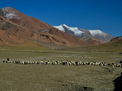 Changthang, Ladakh, crucial for pastoralists, but viewed as open land for mega-solar & other 'development' projects © Ashish Kothari