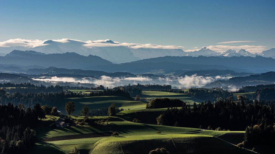 Vielfältiges emmental, kunstwerk in der ausstellung. Mit freundlicher genehmigung des Franz Gertsch Museums