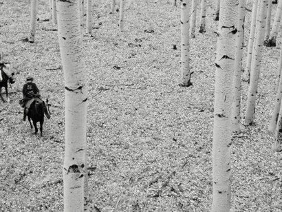Inquadratura dall'alto con personaggi a cavallo in un bosco in inverno in Dead Man (1995)