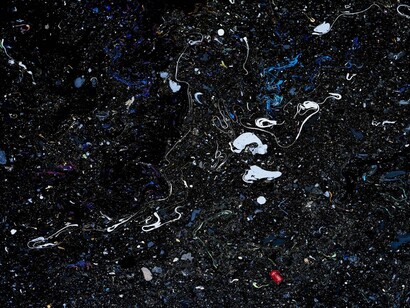 Steven Hirsch, Benthesicyme, 2014. ©Steven Hirsch