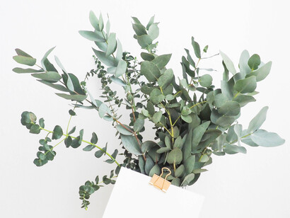 Piccoli dettagli vegetali