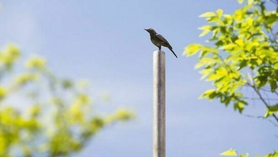 Photo by James Ewing, courtesy of Art Production Fund