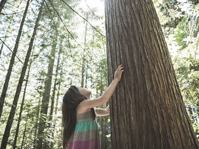 A child touching a tree in line with Rousseau's education philosophy