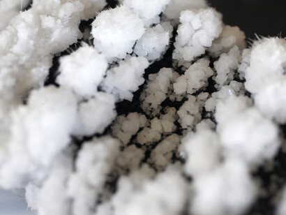 Charlotte Charbonnel