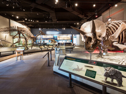 Griffin Halls of Evolving Planet. Courtesy of Field Museum