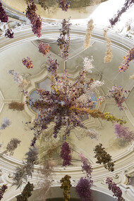 Rebecca Louise Law, Florilegium, Parma Capitale della Cultura 2020