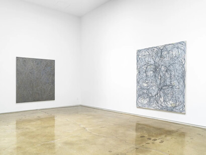 Charles Arnoldi, String theory, exhibition view. Courtesy of Michael Kohn Gallery
