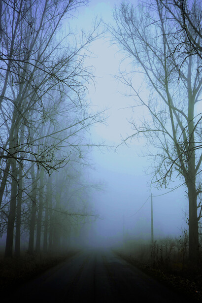 Paisaje bajo la neblina. Al acercarnos a la fantasía, entramos en un espacio en el cual las explicaciones epistemológicas son insuficientes