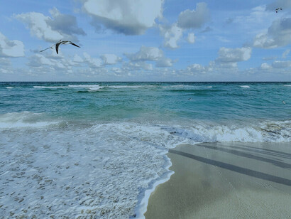 Una bellissima spiaggia con un cielo terso e un gabbiano che vola sul mare