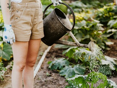 Regar las plantas una obligación que se hizo rito