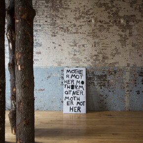 Allison Janae Hamilton. Courtesy of MASS MoCA