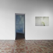 Gerda Paliušytė, You look at me, exhibition view. Courtesy of Contemporary Art Centre