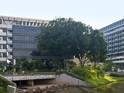 Designed by CPG Consultants in partnership with RMJM, Khoo Teck Puat Hospital in Singapore emphasizes a patient-centered approach through its biophilic design