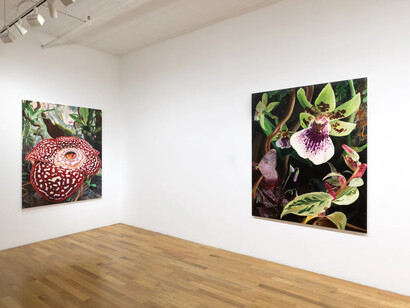 Kate Bickmore, On the precipice, exhibition view. Courtesy of Chart Gallery