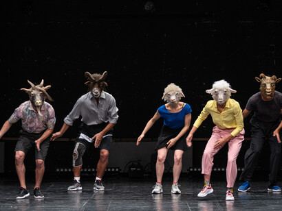 Compagnia Abbondanza Bertoni, Hyenas, foto Andrea Macchia