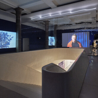 Asta Gröting, A wolf, primates and a breathing curve, exhibition view. Courtesy of Museum Städel