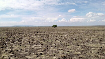 La carenza idrica globale accelera la desertificazione, trasformando terreni fertili in deserti e riducendo la capacità delle regioni di sostenere l'agricoltura e la vita umana