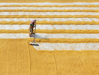 Mulher preparando a terra para uma plantação futura
