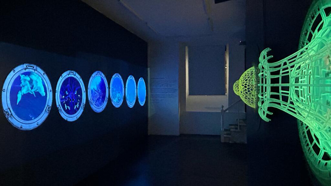 Katja Loher, Why Do The Waves Repeat the Questions I Ask Them? The Plankton Manifesto, installation at LatchKey Gallery. Courtesy the artist and LatchKey Gallery, NYC