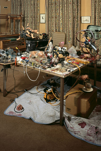 Sus Webster, Trasht Art: polymorphus perversus timnoble. 2006