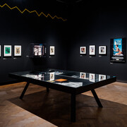 Josephine Baker. Idol ikone inspiration, ausstellungsansicht. Mit freundlicher genehmigung der OÖ Landes-Kultur GmbH