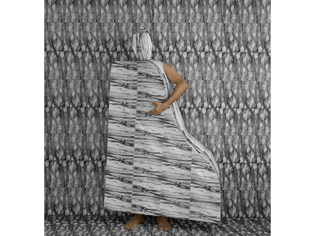 Cristiano Lenhardt, Litomorfose #2, 2014, Digital photograph, 50 x 52 cm, Edition of 5. Photo: Fernanda Gassen, Courtesy Galeria Fortes Vilaça
