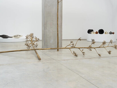 M’barek Bouhchichi, Black seeds, exhibition view. Courtesy of Selma Feriani Gallery