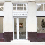 Ani Molnár Gallery