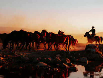 O vaqueiro é um símbolo de resiliência e força no nordeste, onde a tradição e a fé guiam sua vida