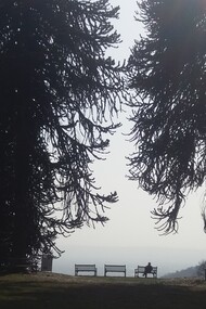 Un ristorante-bistrot immerso in museo di Land’s Art sulle colline biellesi