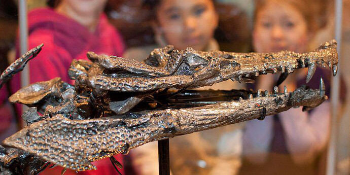 Galerie des Dinosaures. Courtesy of Royal Belgian Institute of Natural Sciences