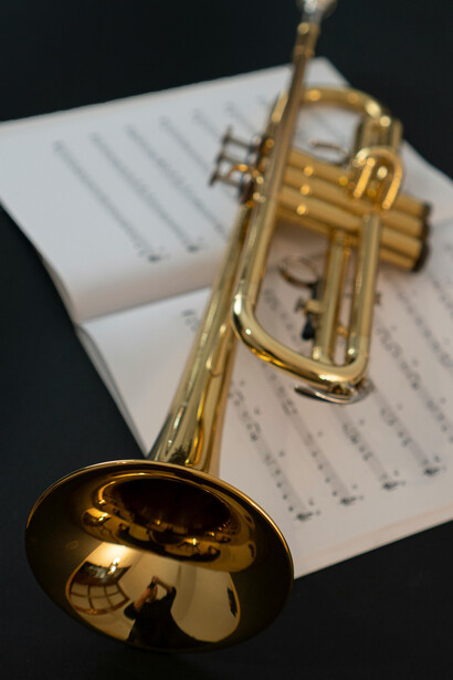 A menudo, los músicos construyen sus trayectorias entre el ensayo solitario y el trabajo colectivo, en una búsqueda que combina vocación y resiliencia