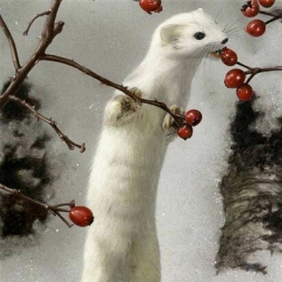 Creatura d'inverno