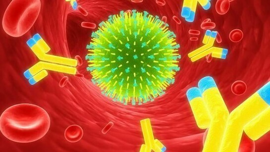 Virus dell'influenza.