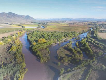 Viña Maquis es una de las viñas más antiguas del Valle de Colchagua, considerado una de las zonas agrícolas más destacadas de Chile, ubicada en entre el río Tinguiririca y el estero Chimbarongo