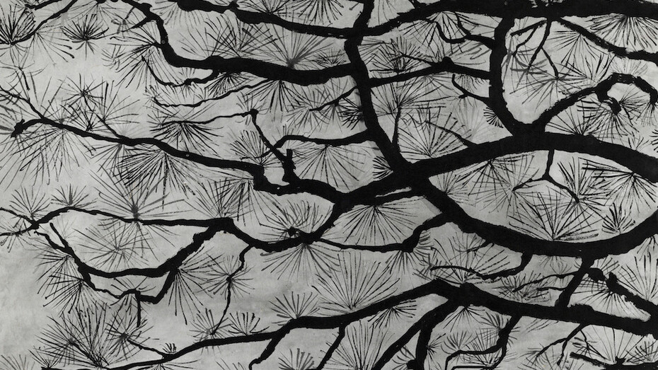 Edgar Honetschläger, Sugi from the series Sumi-e, 2013. Courtesy of Nordico Stadtmuseum