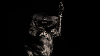 «Yo no quiero una tumba ni una cruz ni corona»