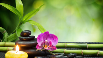 Las terapias naturales viven una auténtica edad de oro en nuestros días