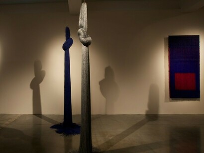 Cortex de notre Terre, Exhibition view. Courtesy of  Galerie Agnès Monplaisir