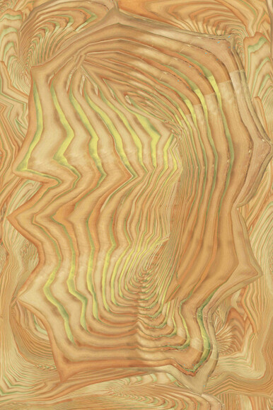 Anne Rowland, To your left (Stanley, New Mexico) (detail), 2026. Courtesy of Hemphill