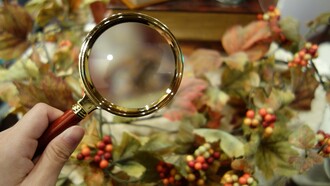 Instrumento para mirar el arte